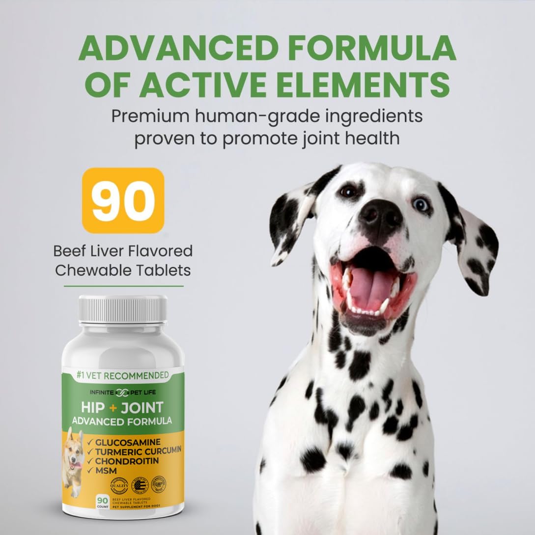 Hip and Joint Supplement for Dogs 90 Chewable Tablets X53805