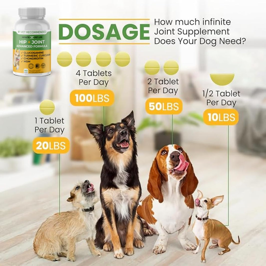 Hip and Joint Supplement for Dogs 90 Chewable Tablets X53805
