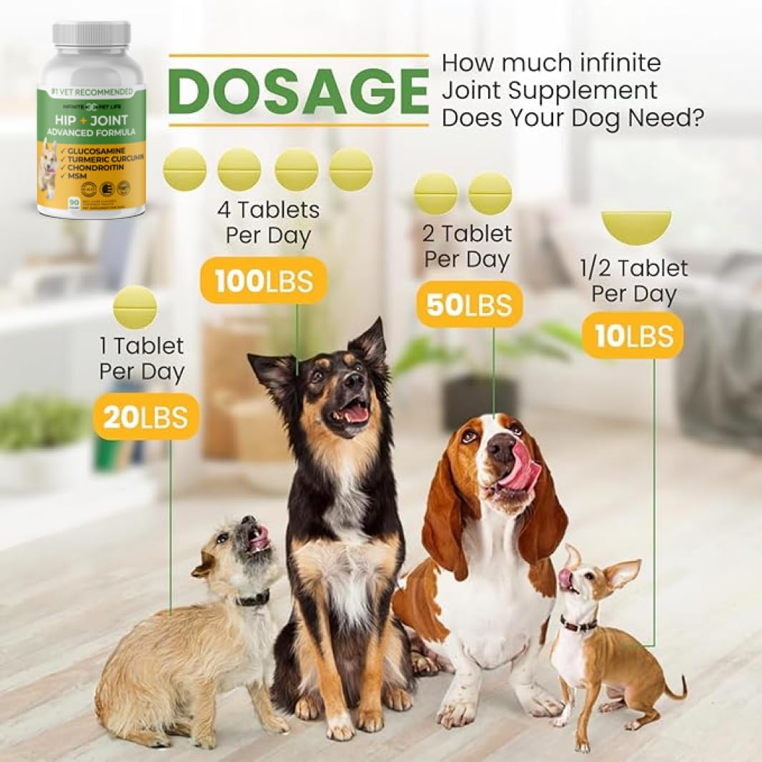 Hip and Joint Supplement for Dogs 90 Chewable Tablets X53805