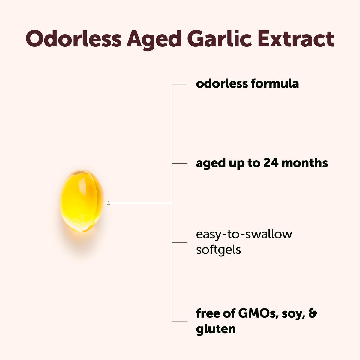 Aged Odorless Garlic 300 Softgels L7161