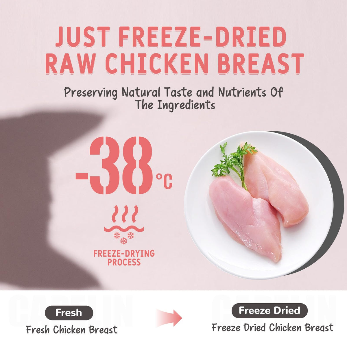 Freeze Dried Chicken Breast Cat & Dog Treats 2.82oz Single Ingredient Grain-Free X748776