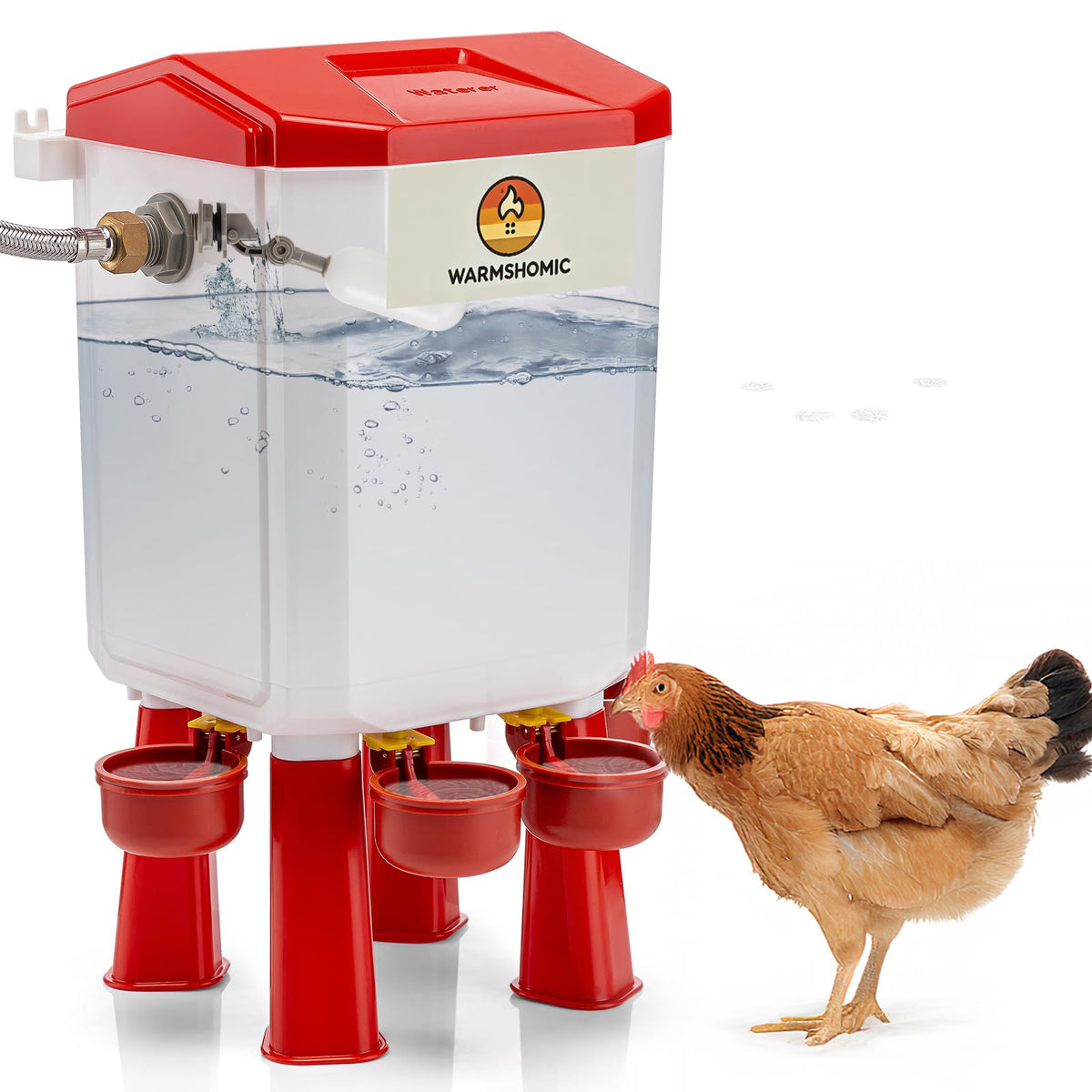 Automatic Chicken Waterer with Stainless Steel Hose H456972