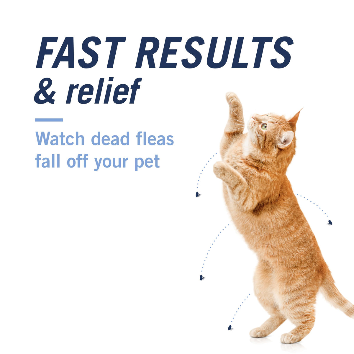 Oral Flea Tablets Cats 2-25 lbs, Nitenpyram, 6-Dose U1666