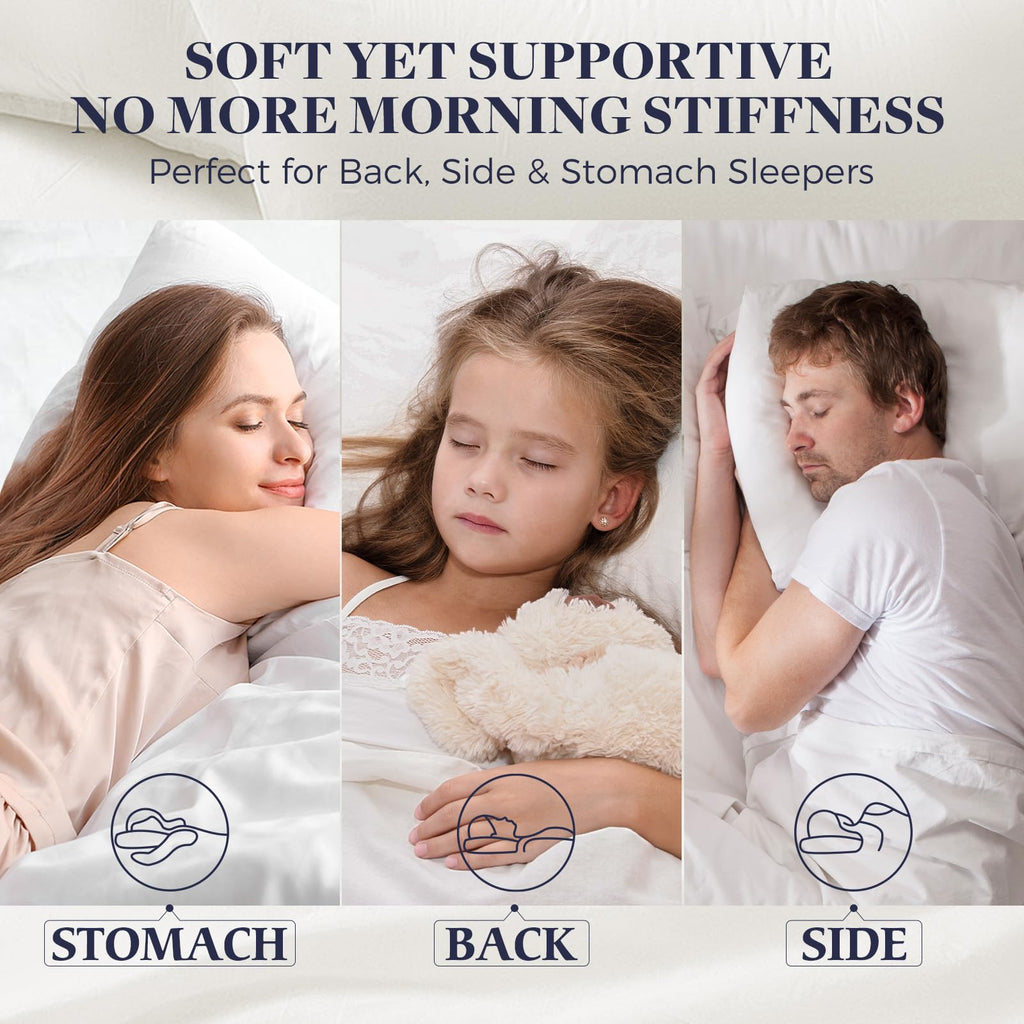 King Size Down Alternative Pillow 2 Pack O972777