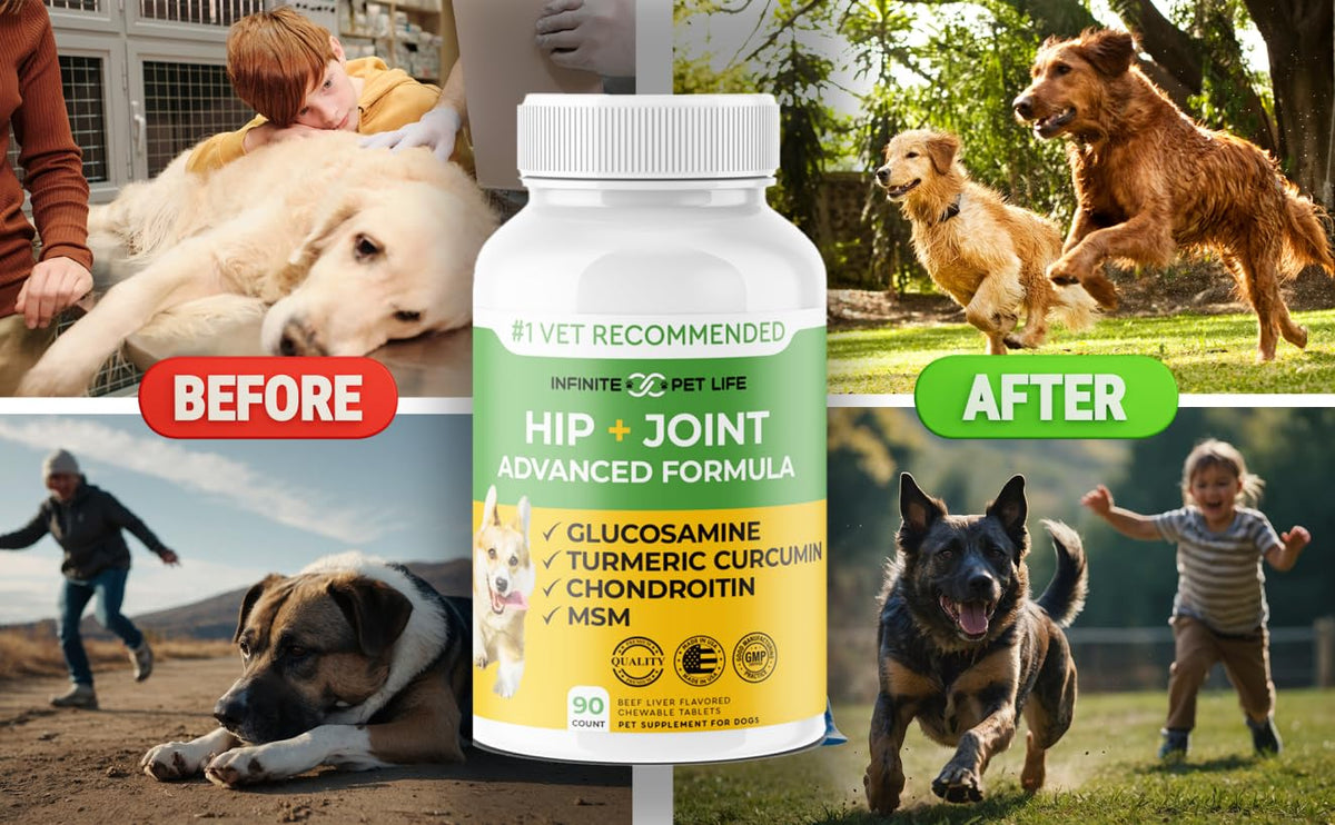 Hip and Joint Supplement for Dogs 90 Chewable Tablets X53805