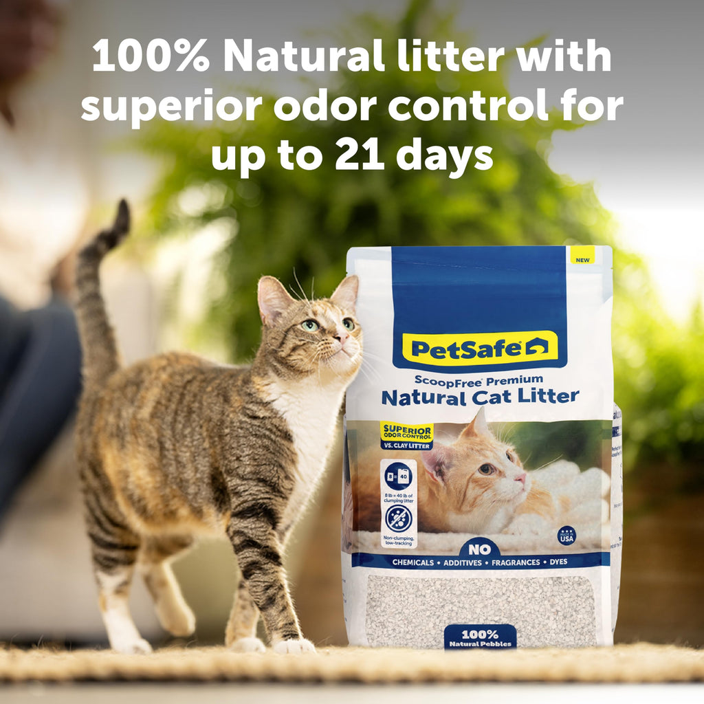 Natural Cat Litter 8 lb Bag Q503