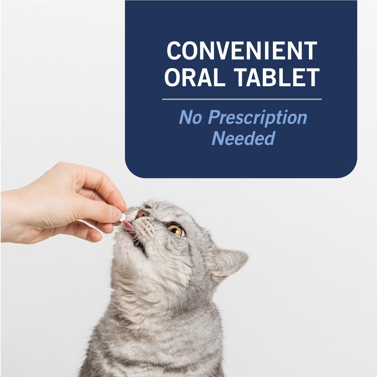Oral Flea Tablets Cats 2-25 lbs, Nitenpyram, 6-Dose U1666