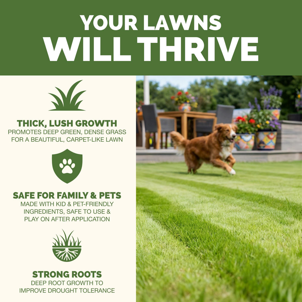 Liquid Lawn Fertilizer 1 Gallon S47736