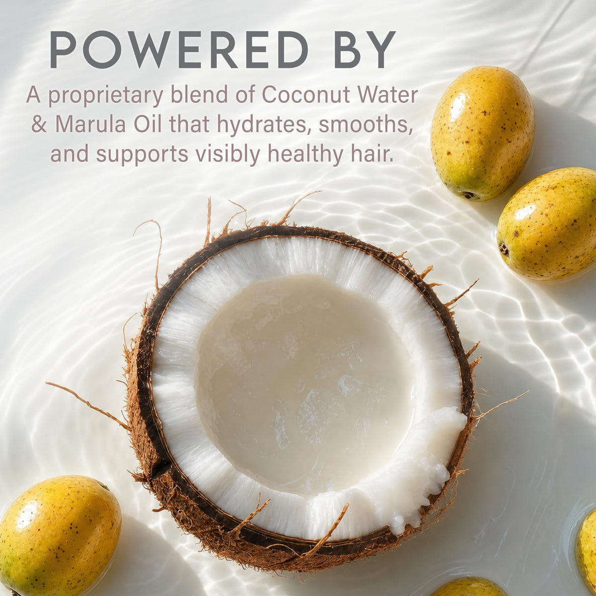 Coconut Water Based Moisturizing Hair Shampoo & Conditioner Set X26899
