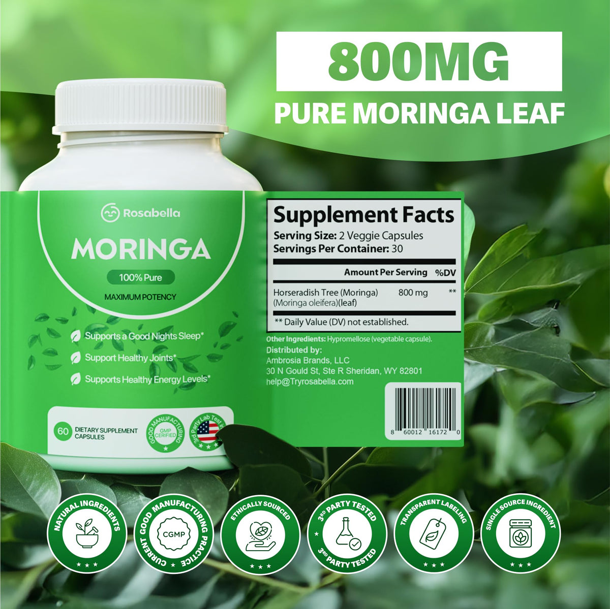 Moringa Capsules 120 Count Z8728