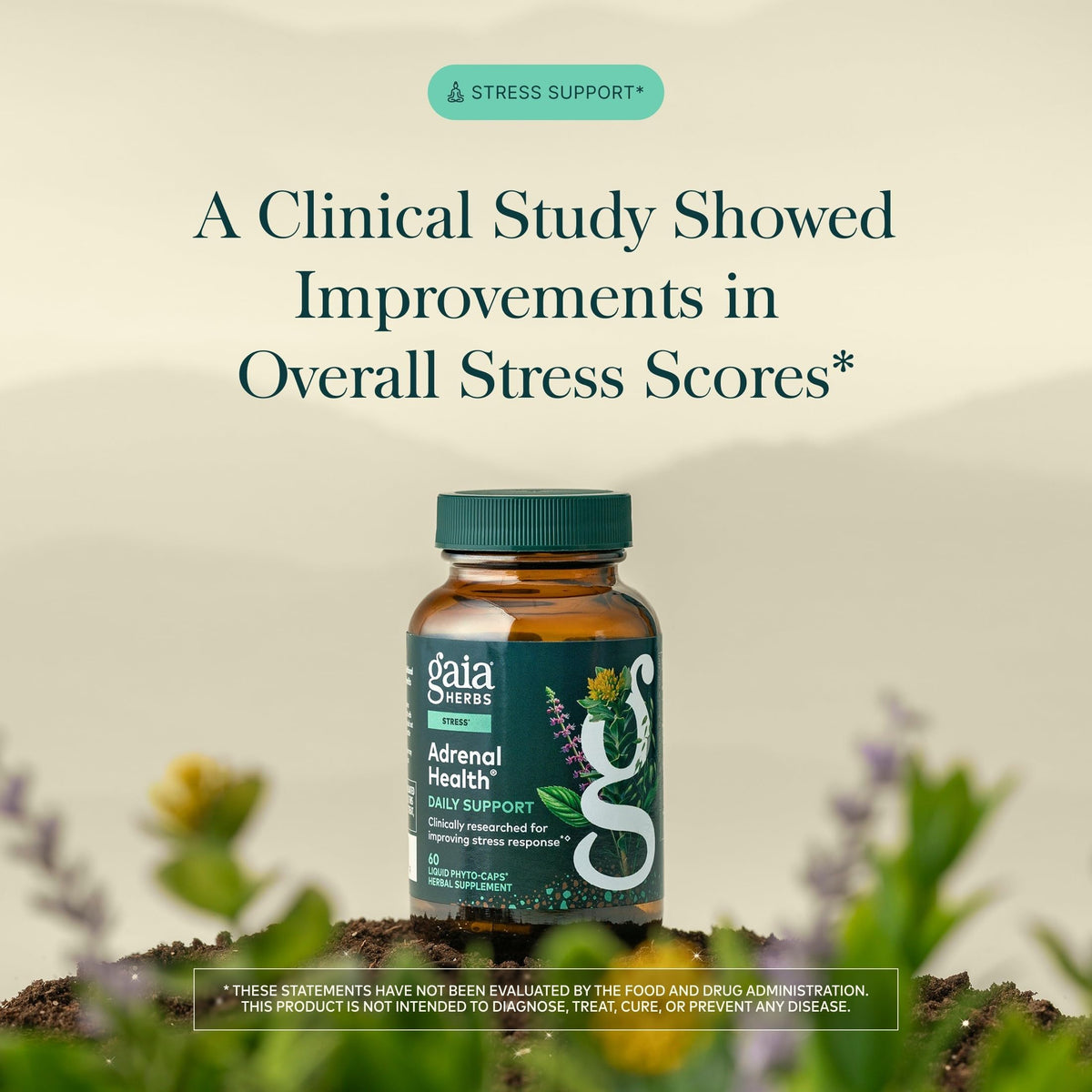 60 Vegan Capsules X1435